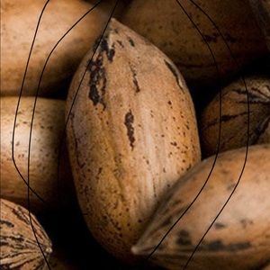 Meet your Posher, Jayden